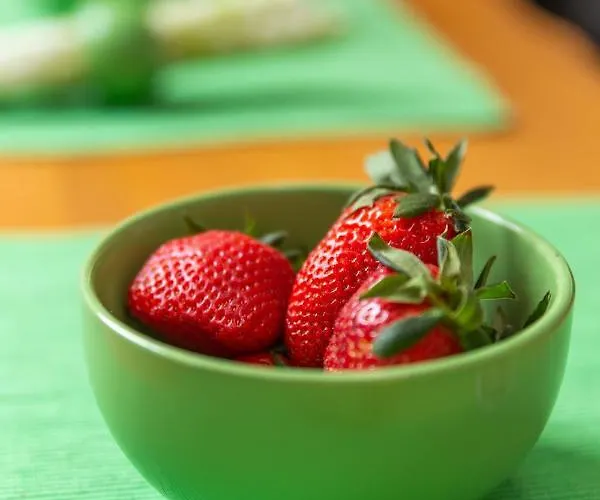 Daire The Heart And Soul Of Rijeka